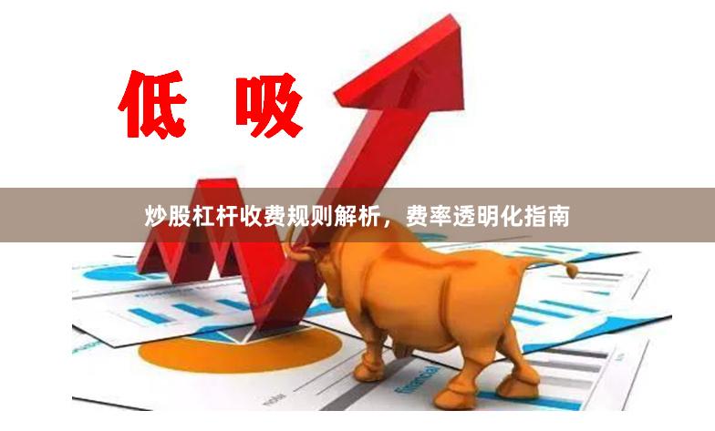 炒股杠杆收费规则解析，费率透明化指南